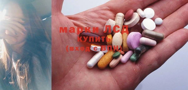 прущие грибы Алзамай