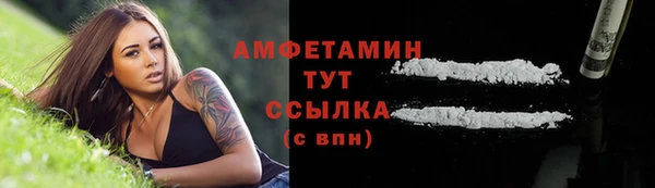 шишки Покачи