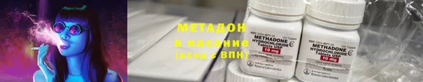 прущие грибы Алзамай