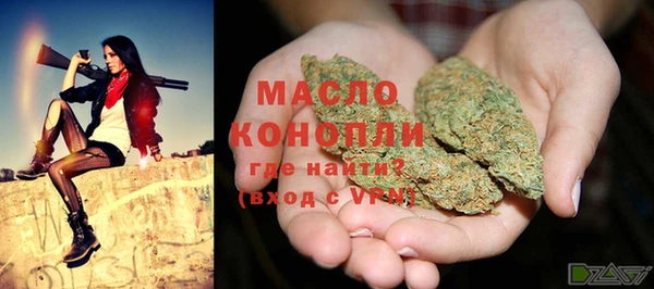 прущие грибы Алзамай