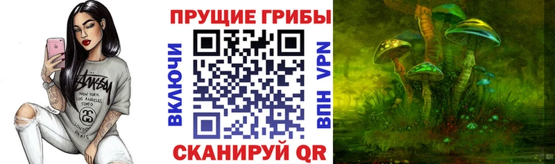 даркнет состав купить наркоту Петрозаводск Псилоцибиновые грибы прущие грибы
