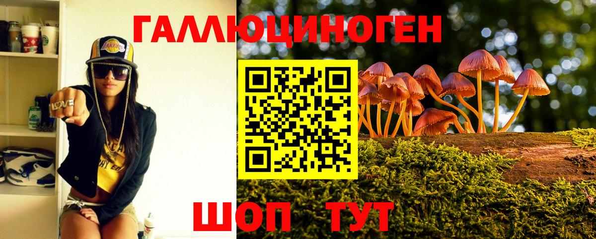 Петрозаводск  Галлюциногенные грибы GOLDEN TEACHER  Псилоцибиновые грибы MAGIC MUSHROOMS  Вход с VPN 