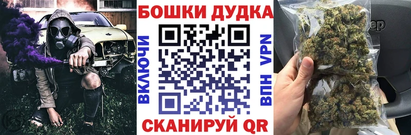 kraken как войти  нарко площадка телеграм  Петрозаводск  Канабис тримм  цены  
